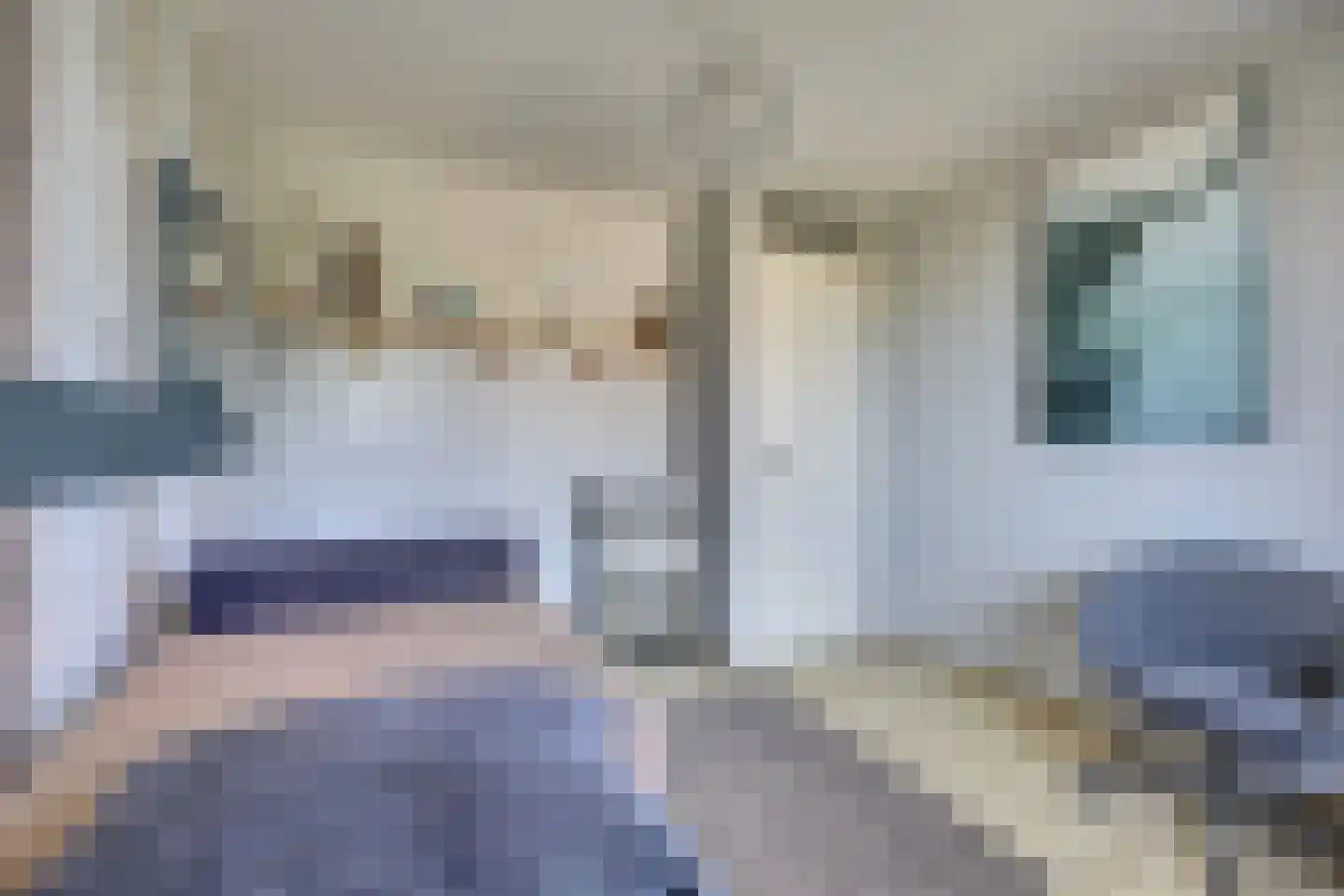 Bosstraat 27 Didam thumbnail 31