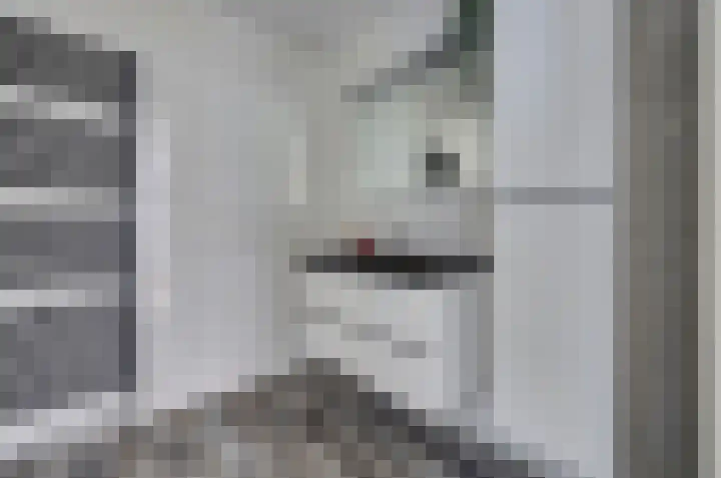 Bosstraat 27 Didam thumbnail 32