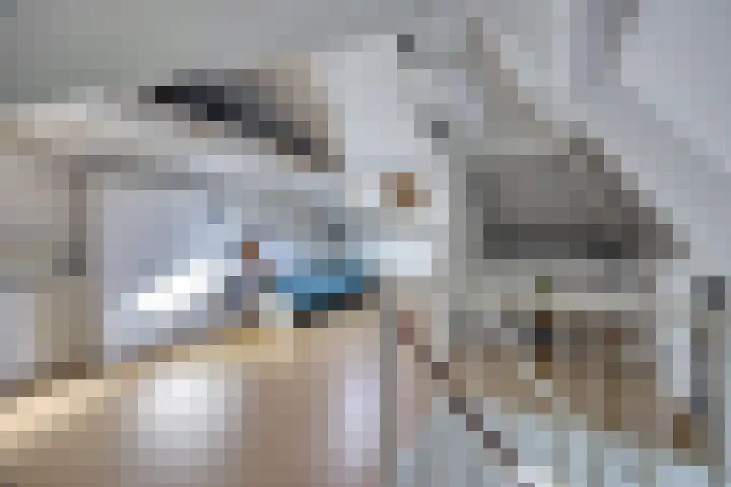 Bosstraat 27 Didam thumbnail 36