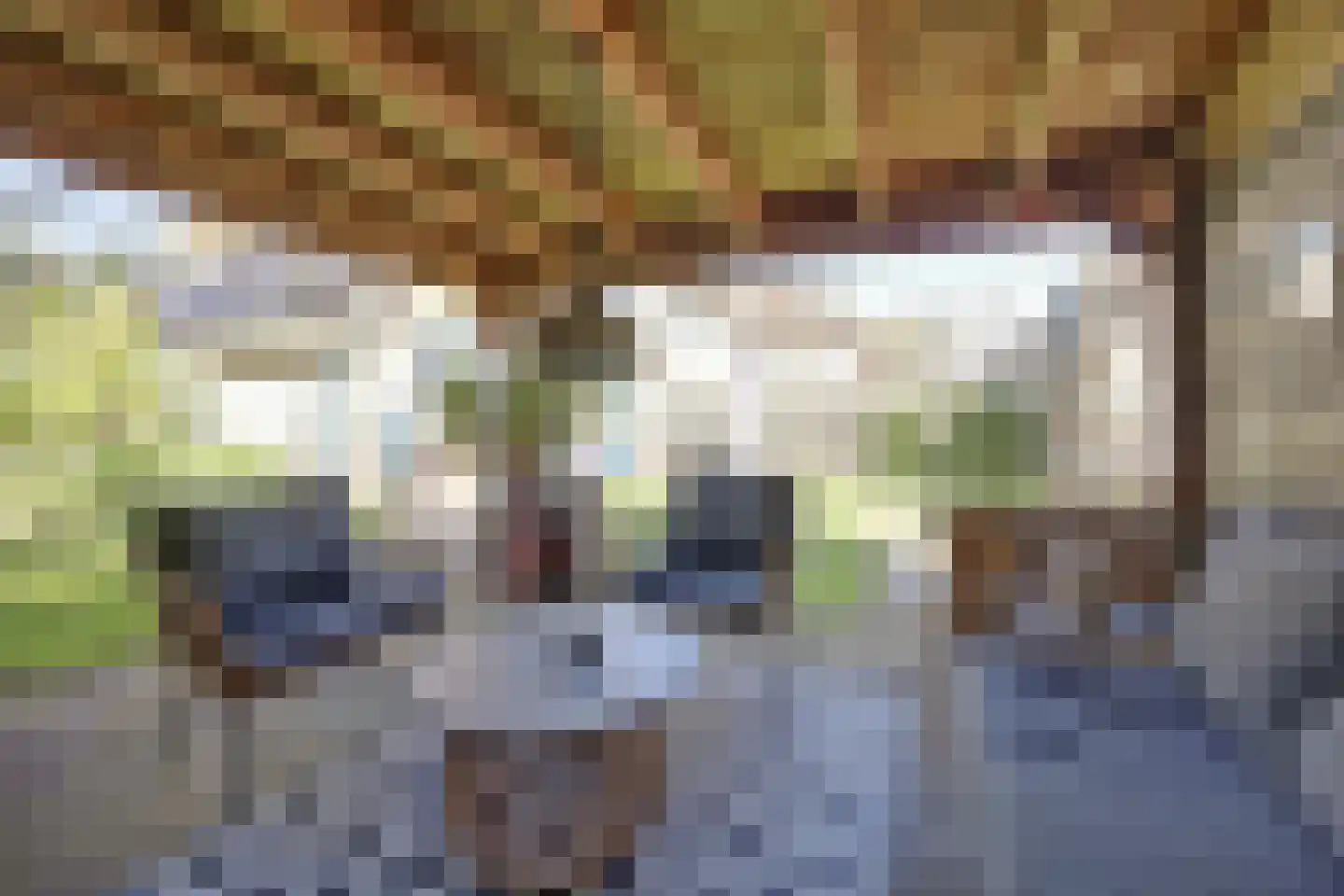 Bosstraat 27 Didam thumbnail 38