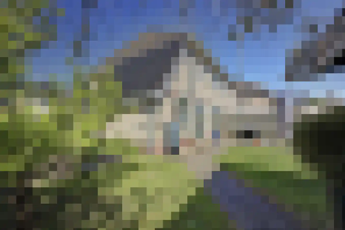 Bosstraat 27 Didam thumbnail 39