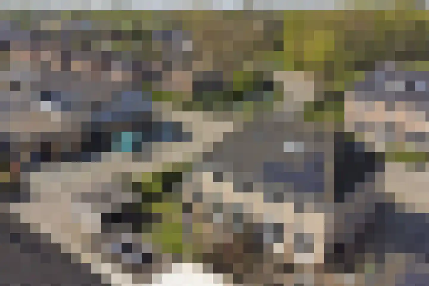 Bosstraat 27 Didam thumbnail 47