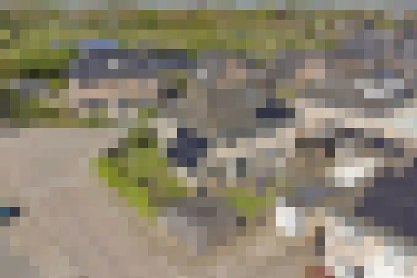 Bosstraat 27 Didam thumbnail 48