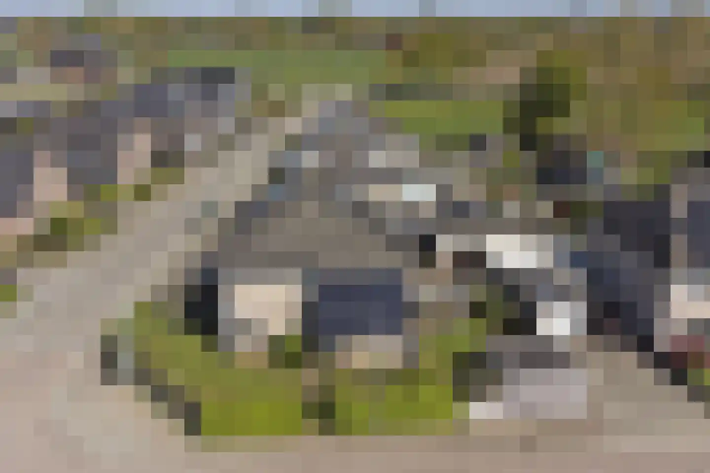 Bosstraat 27 Didam thumbnail 49
