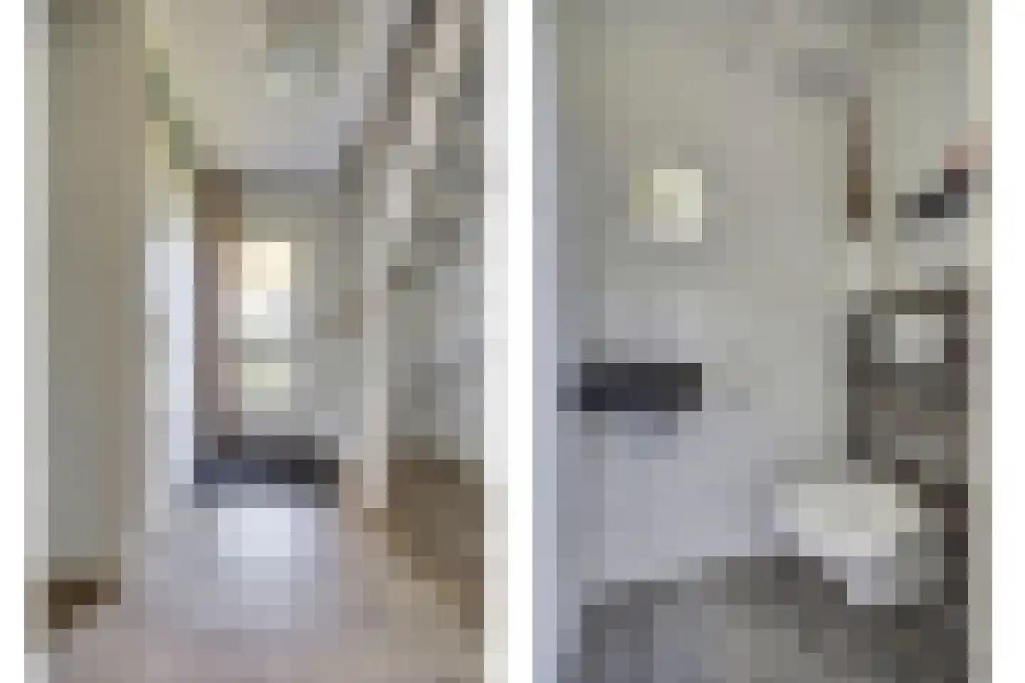 Bosstraat 27 Didam thumbnail 5