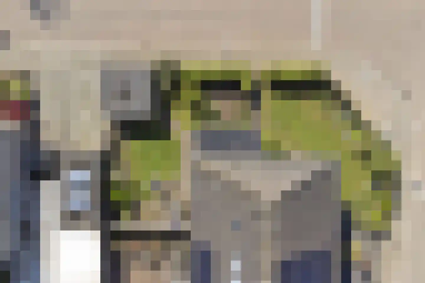 Bosstraat 27 Didam thumbnail 51