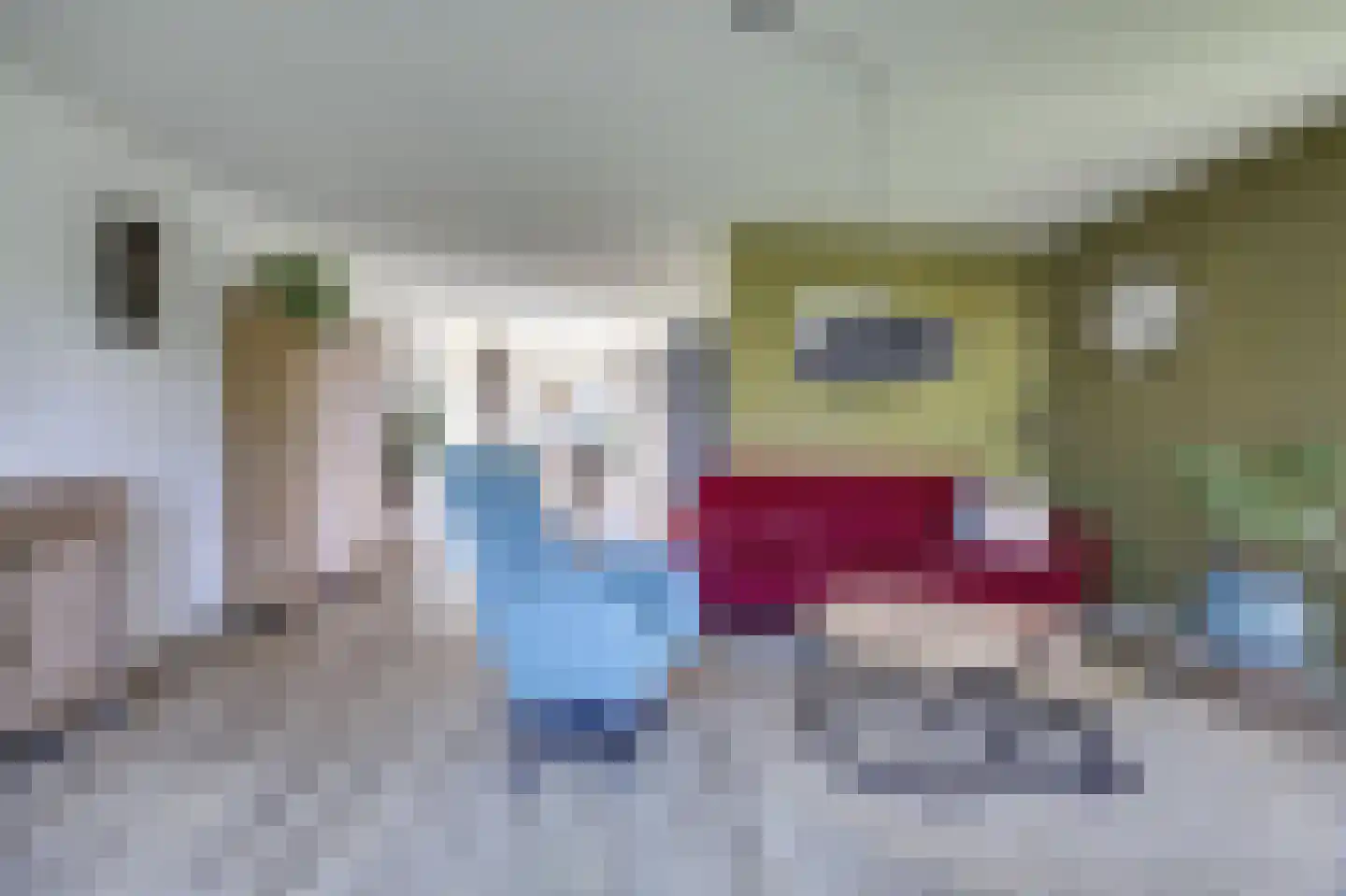Bosstraat 27 Didam thumbnail 8