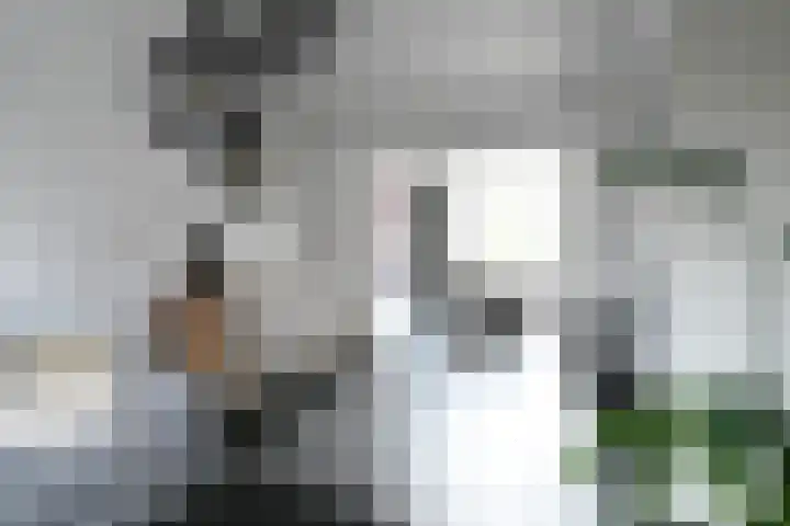 Bosstraat 3 Beegden thumbnail 10