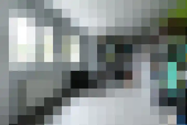 Bosstraat 3 Beegden thumbnail 15