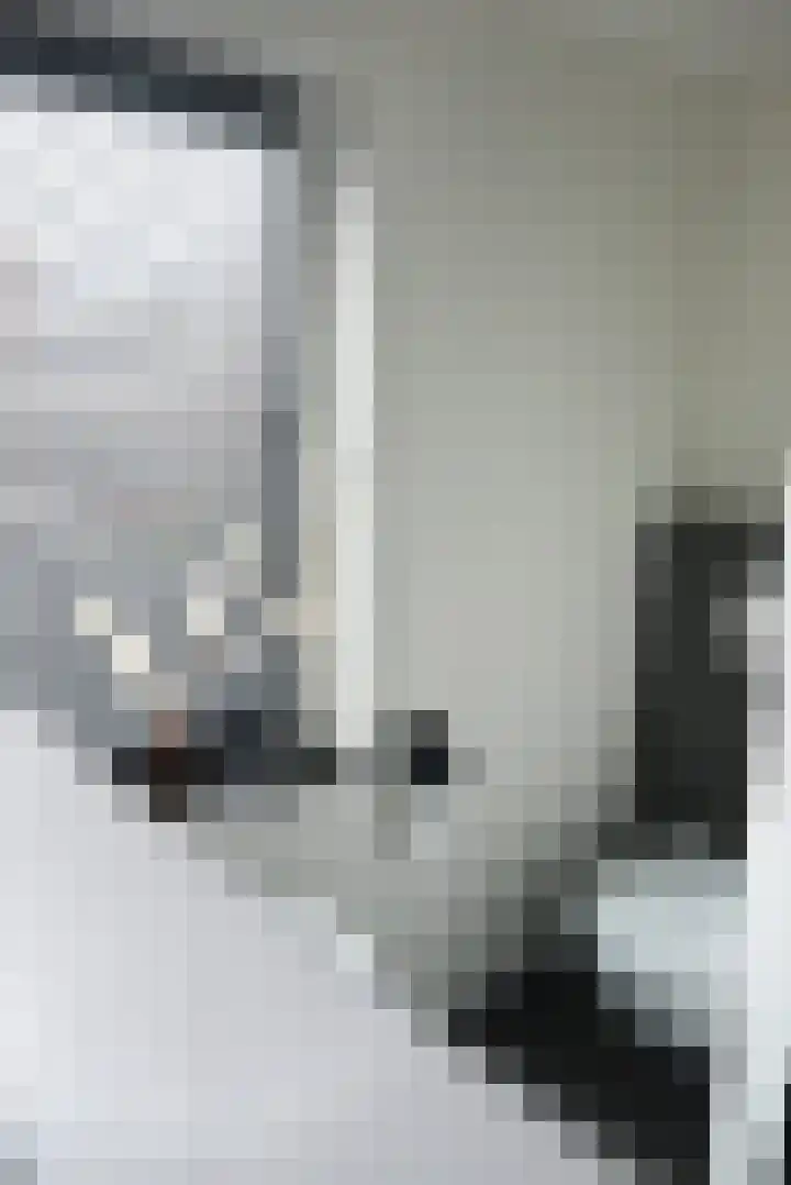 Bosstraat 3 Beegden thumbnail 24
