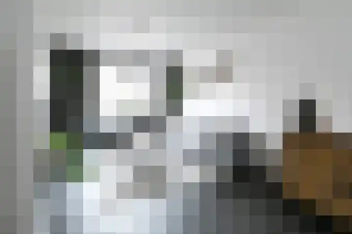 Bosstraat 3 Beegden thumbnail 4