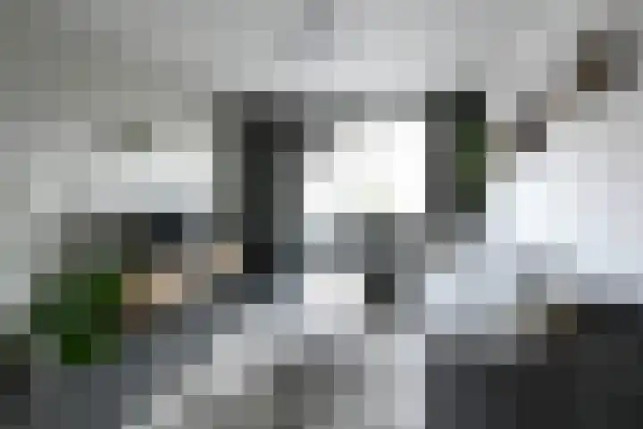 Bosstraat 3 Beegden thumbnail 5