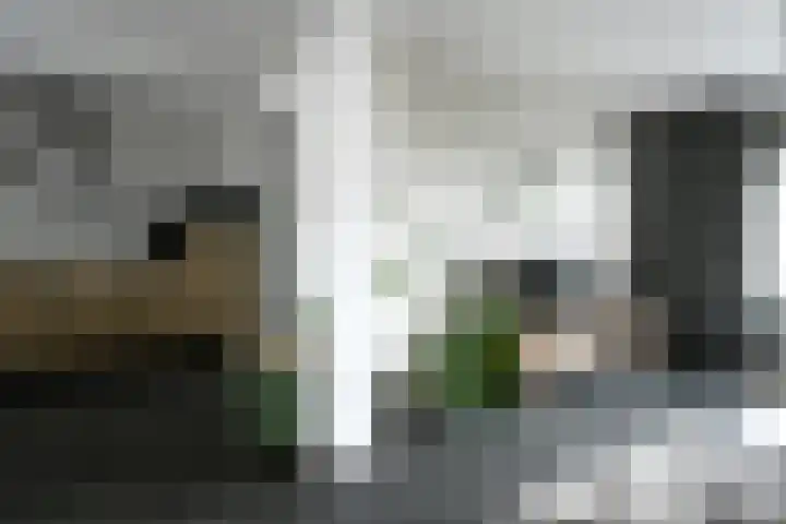 Bosstraat 3 Beegden thumbnail 6