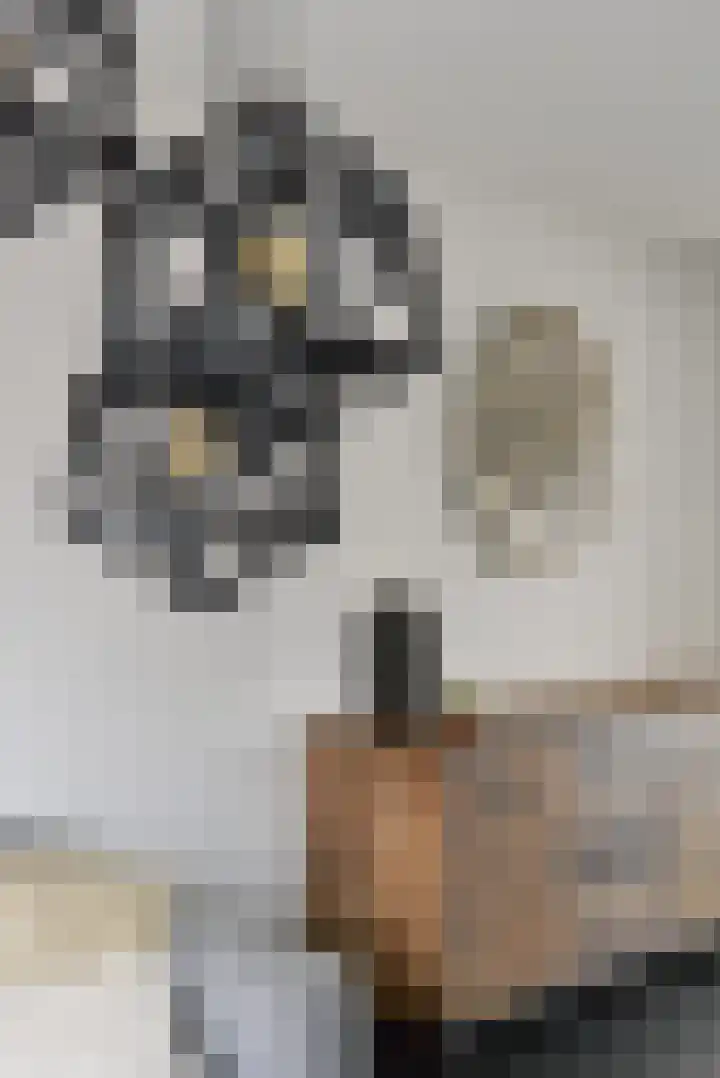 Bosstraat 3 Beegden thumbnail 8