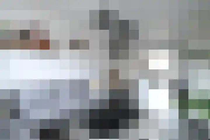 Bosstraat 3 Beegden thumbnail 9