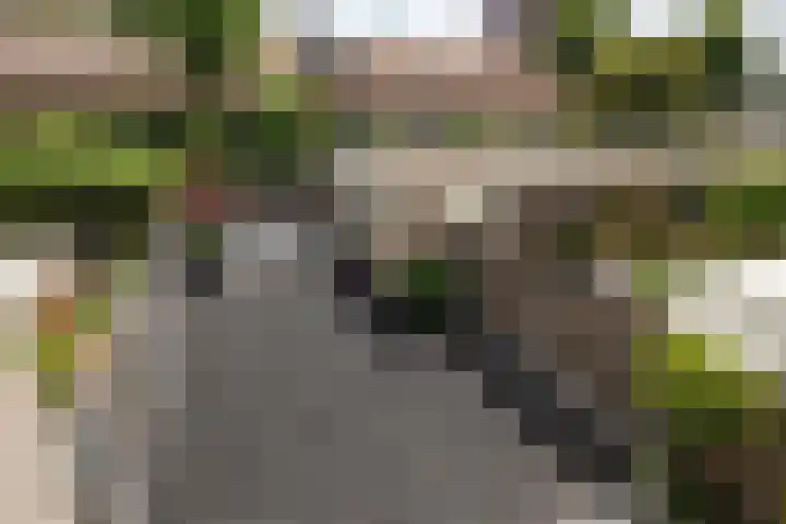 Bosstraat 30 Driebergen-Rijsenburg thumbnail 31
