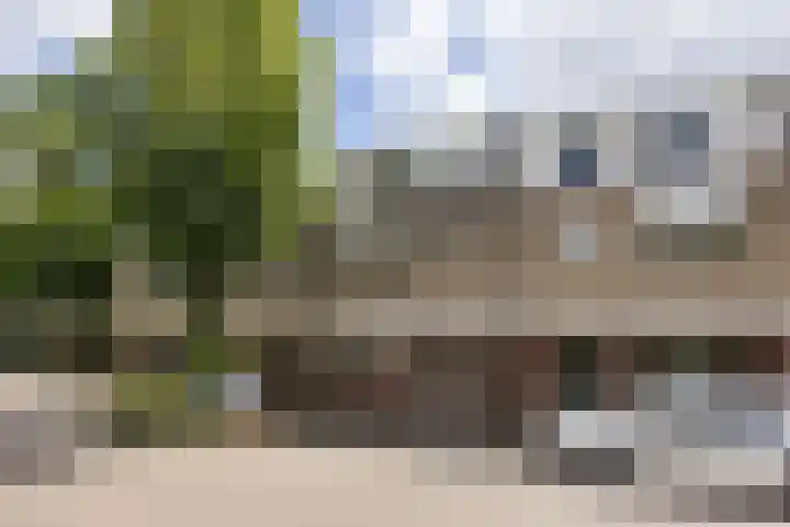 Bosstraat 30 Driebergen-Rijsenburg thumbnail 37