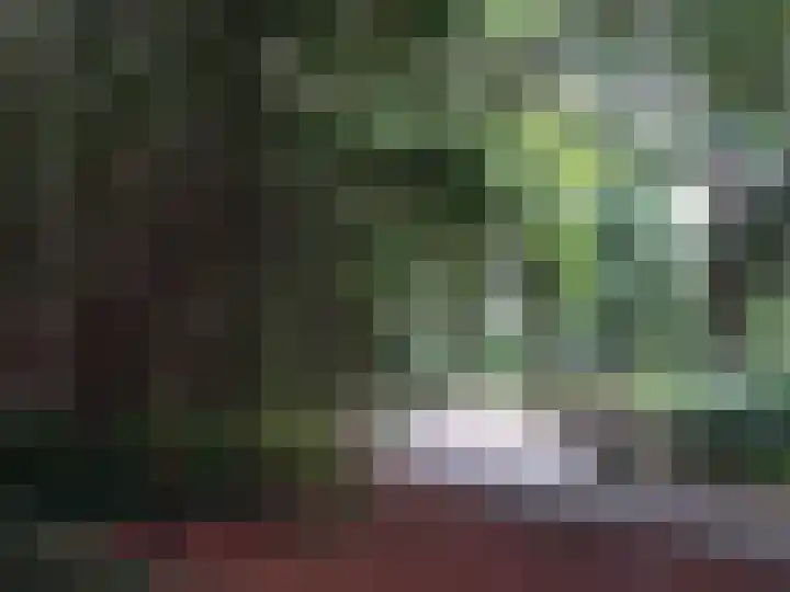 Bosstraat 30 Driebergen-Rijsenburg thumbnail 40