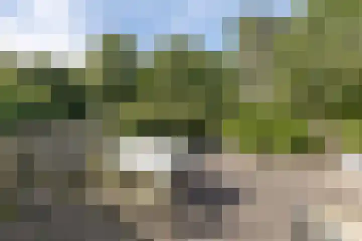 Bosstraat 35 Driebergen-Rijsenburg thumbnail 33