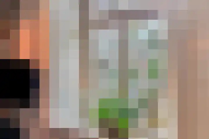 Bosstraat 35 Neeritter thumbnail 17