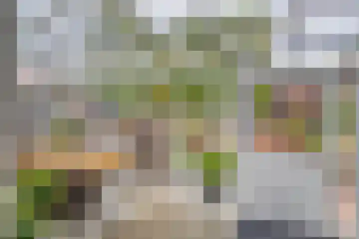 Bosstraat 35 Neeritter thumbnail 20