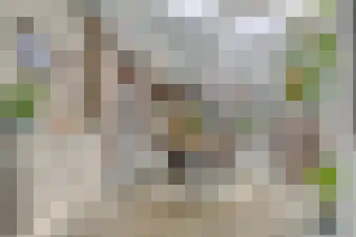 Bosstraat 35 Neeritter thumbnail 21