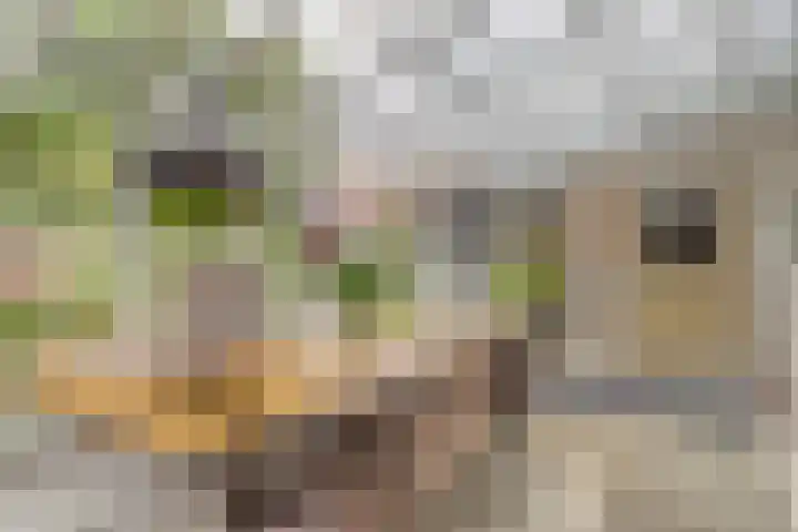 Bosstraat 35 Neeritter thumbnail 22