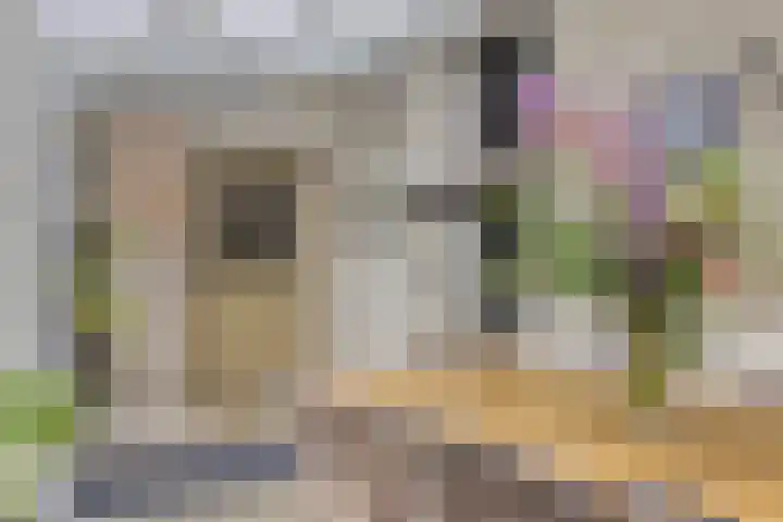 Bosstraat 35 Neeritter thumbnail 23