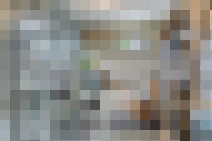 Bosstraat 35 Neeritter thumbnail 30