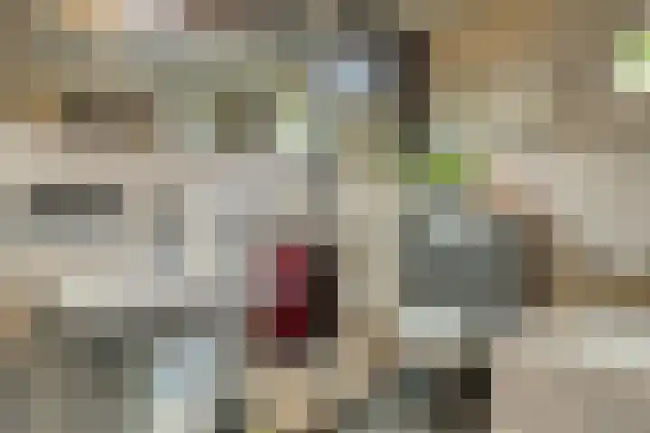 Bosstraat 35 Neeritter thumbnail 31