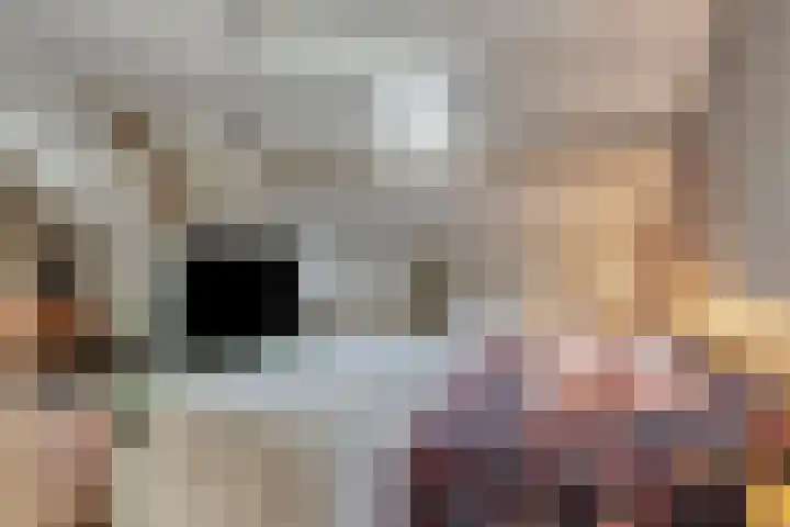 Bosstraat 35 Neeritter thumbnail 39