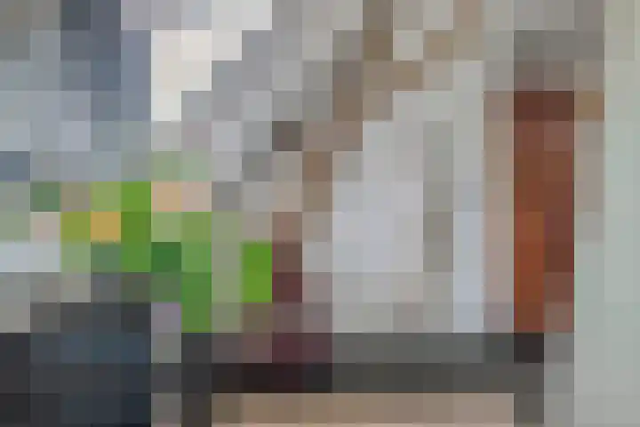 Bosstraat 35 Neeritter thumbnail 41