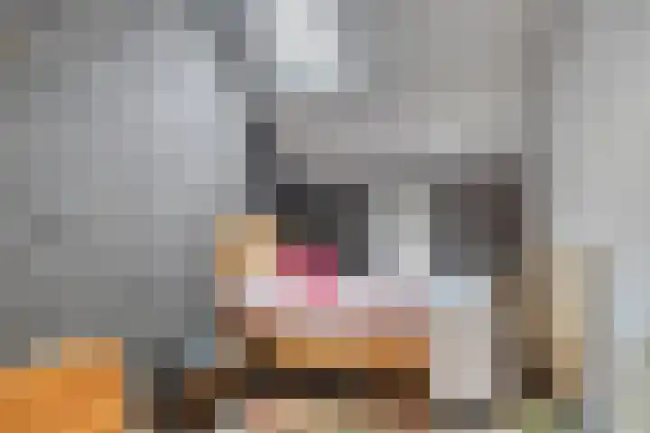 Bosstraat 35 Neeritter thumbnail 45