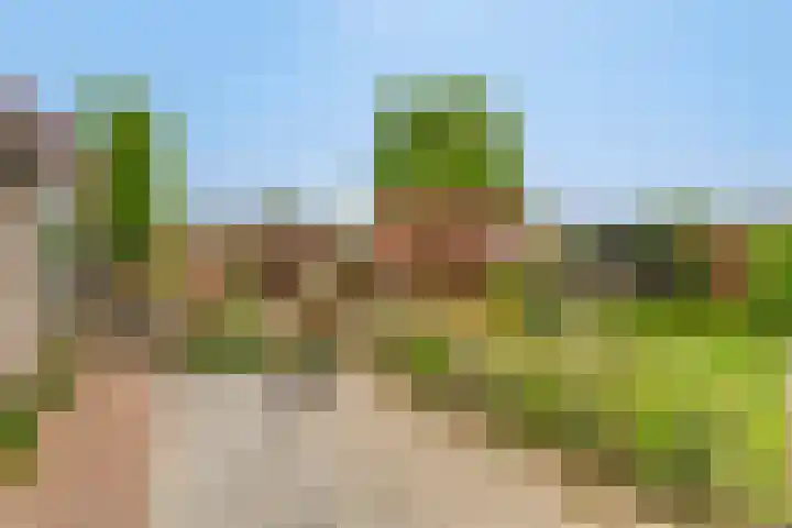 Bosstraat 35 Neeritter thumbnail 47