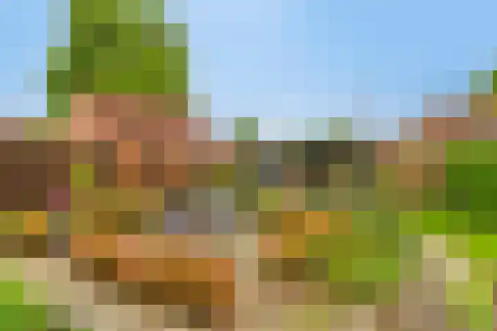Bosstraat 35 Neeritter thumbnail 48