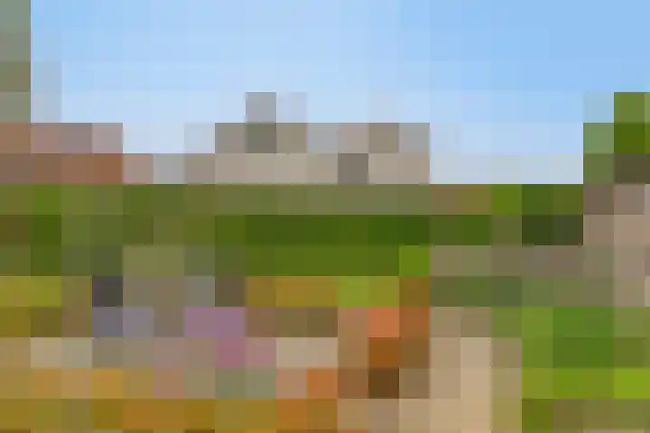 Bosstraat 35 Neeritter thumbnail 50