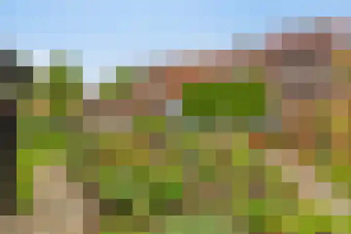 Bosstraat 35 Neeritter thumbnail 51
