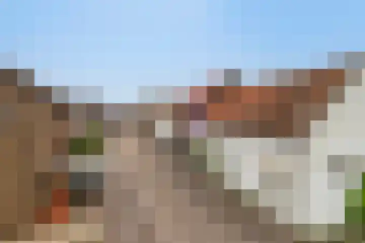 Bosstraat 35 Neeritter thumbnail 55