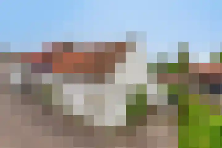 Bosstraat 35 Neeritter thumbnail 56