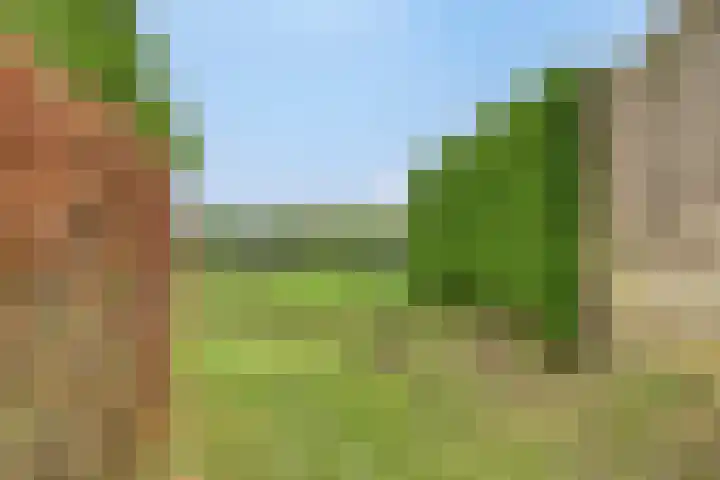 Bosstraat 35 Neeritter thumbnail 59