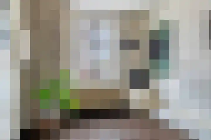 Bosstraat 35 Neeritter thumbnail 8