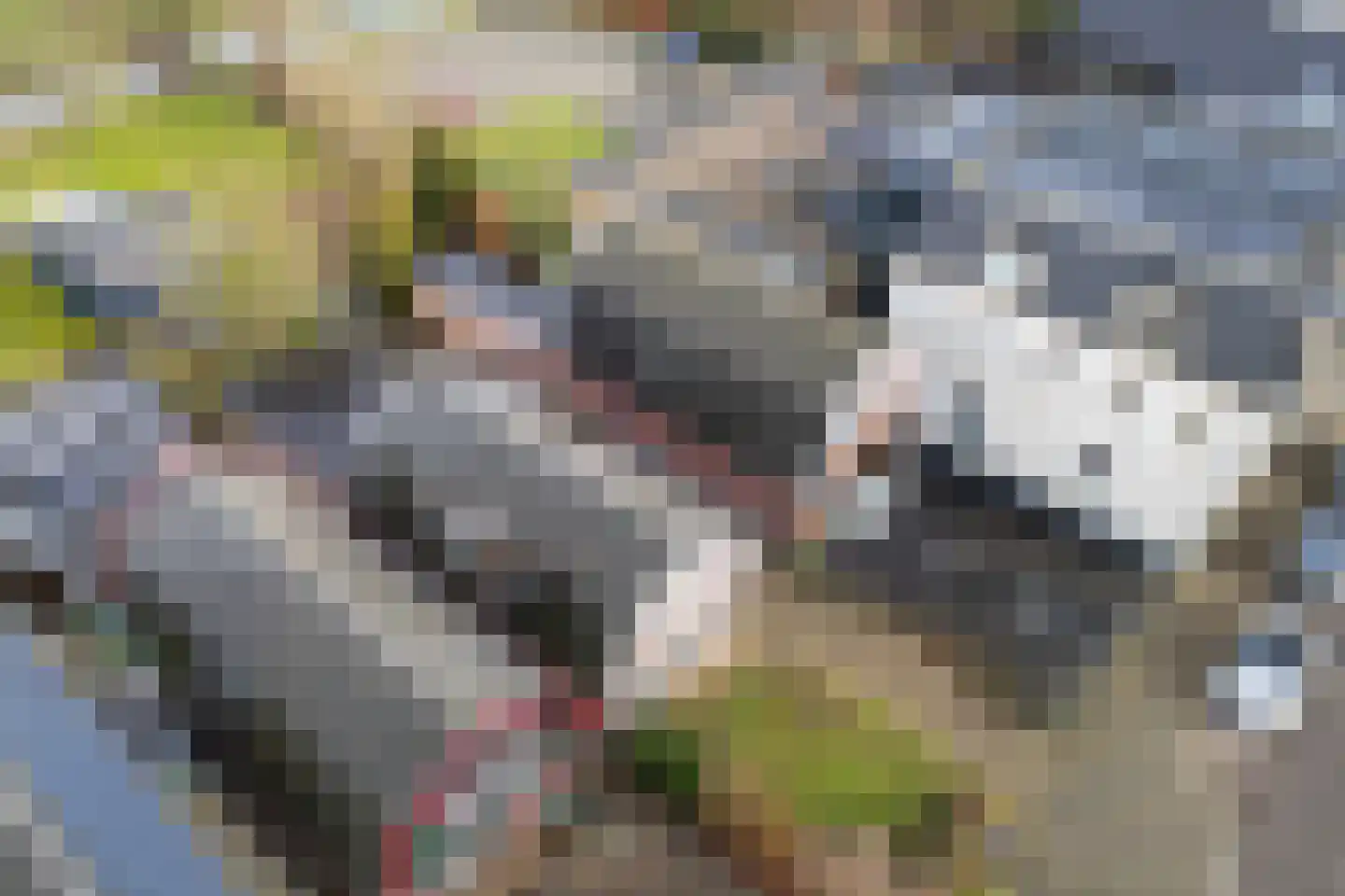 Bosstraat 36 a Winkel thumbnail 4