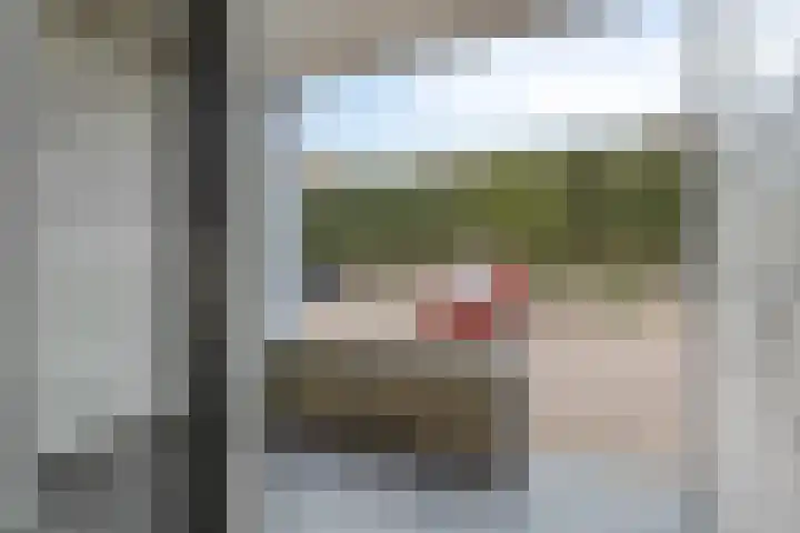 Bosstraat 4 A Valkenswaard thumbnail 20