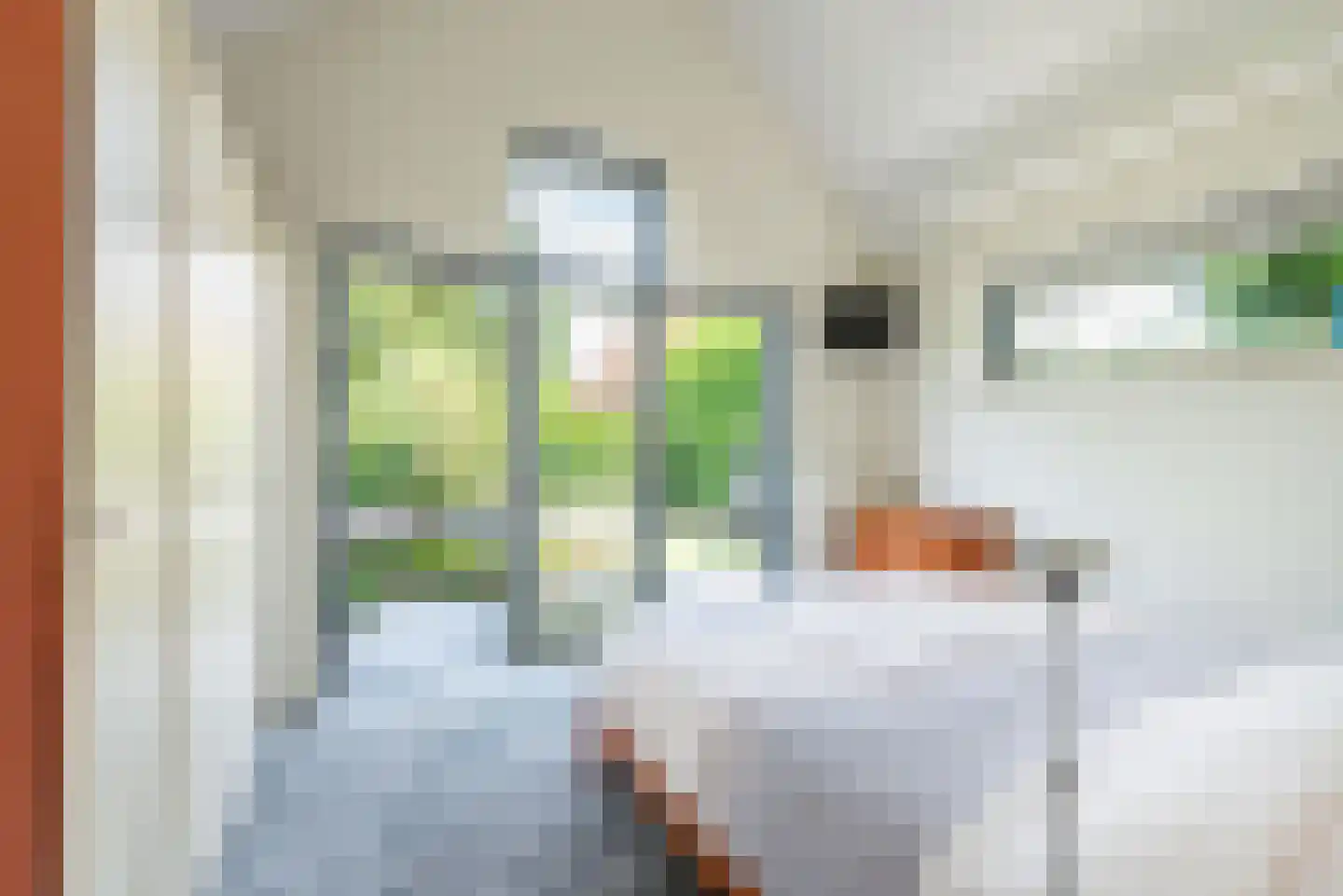 Bosstraat 4 Doetinchem thumbnail 26