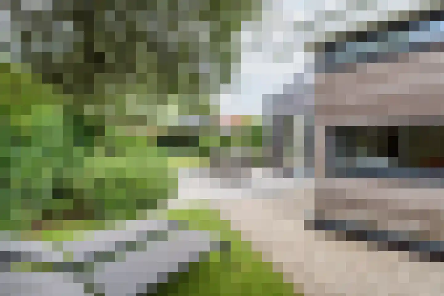 Bosstraat 4 Doetinchem thumbnail 42