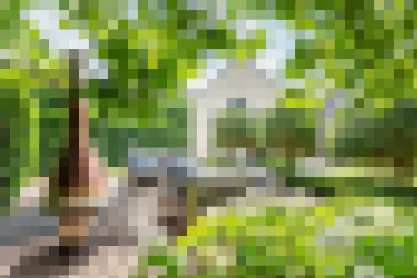 Bosstraat 4 Doetinchem thumbnail 46