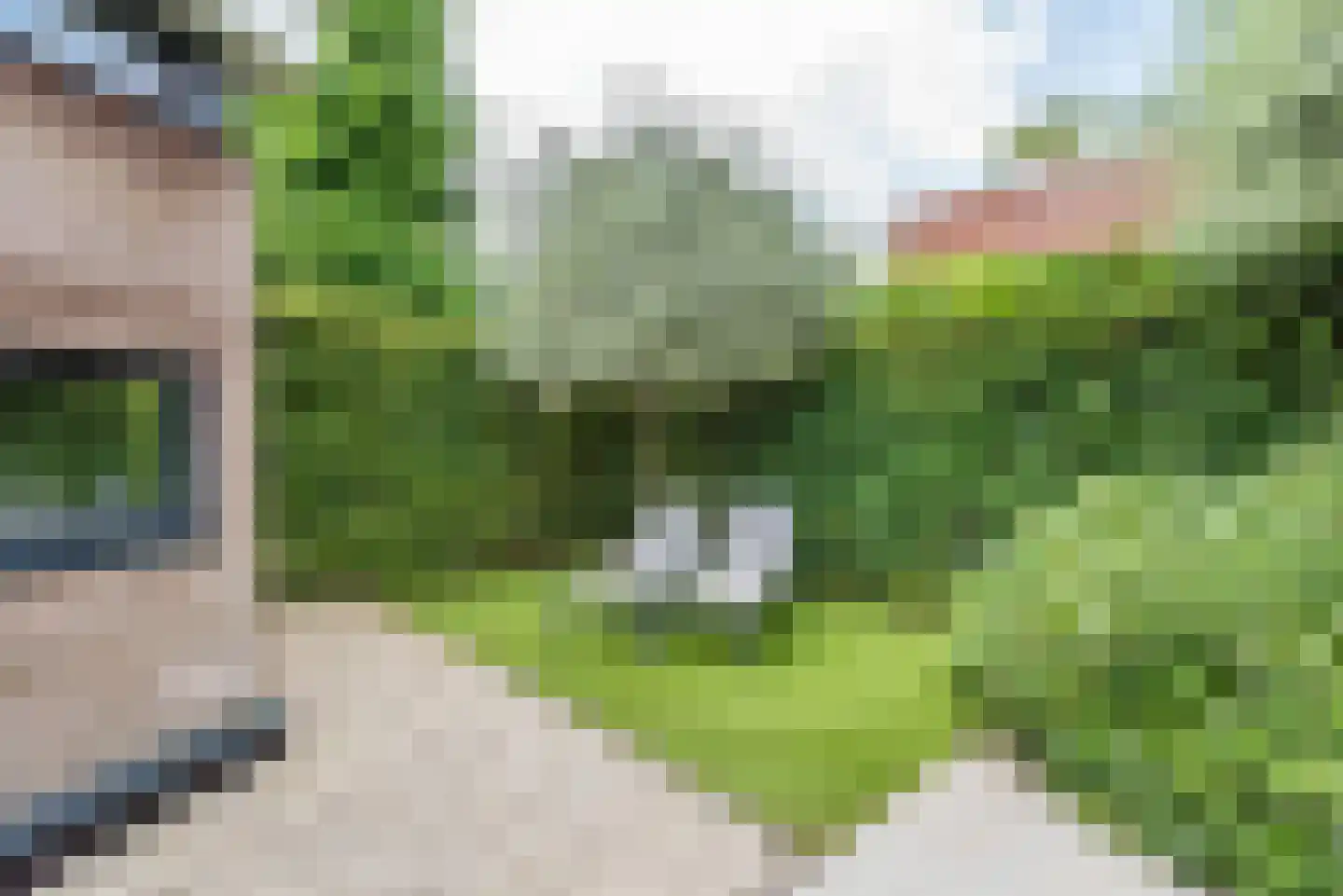 Bosstraat 4 Doetinchem thumbnail 52