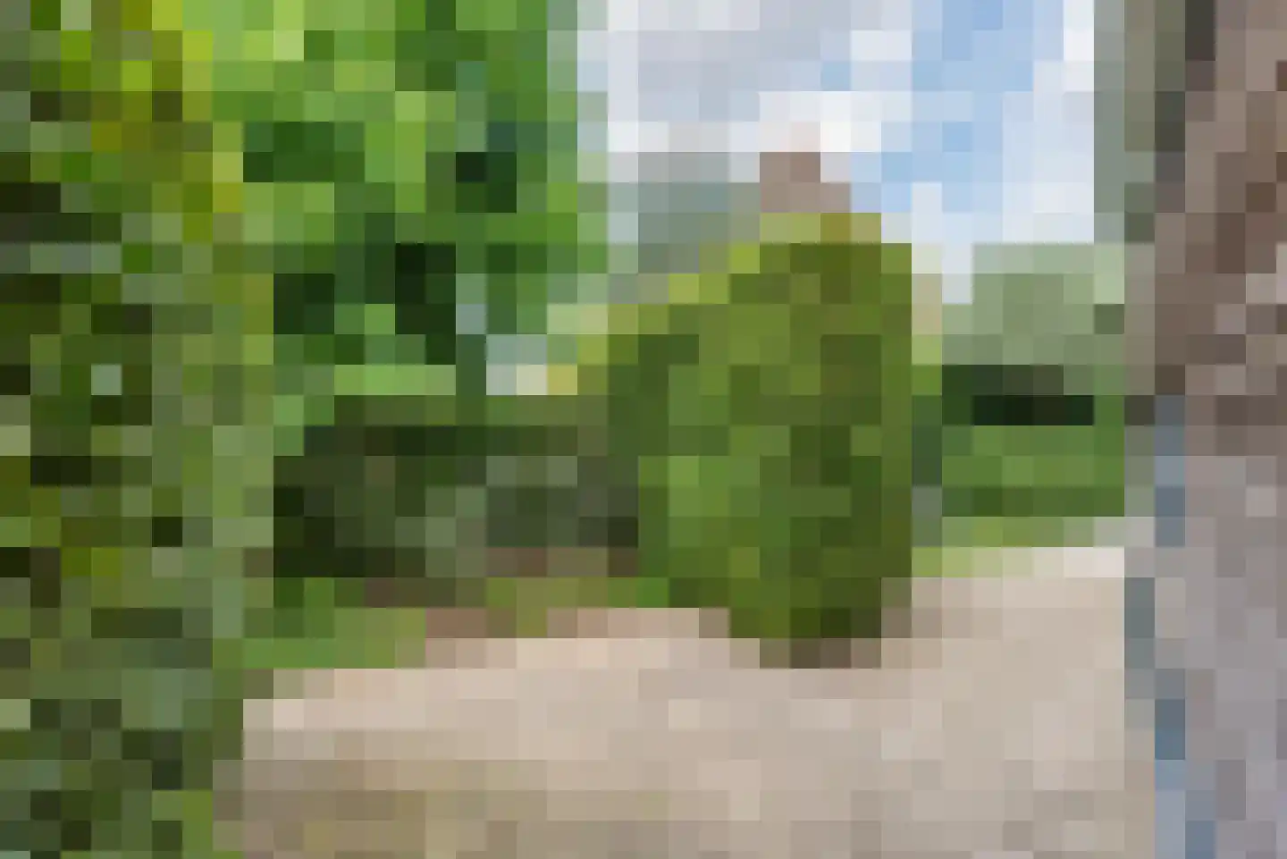 Bosstraat 4 Doetinchem thumbnail 53