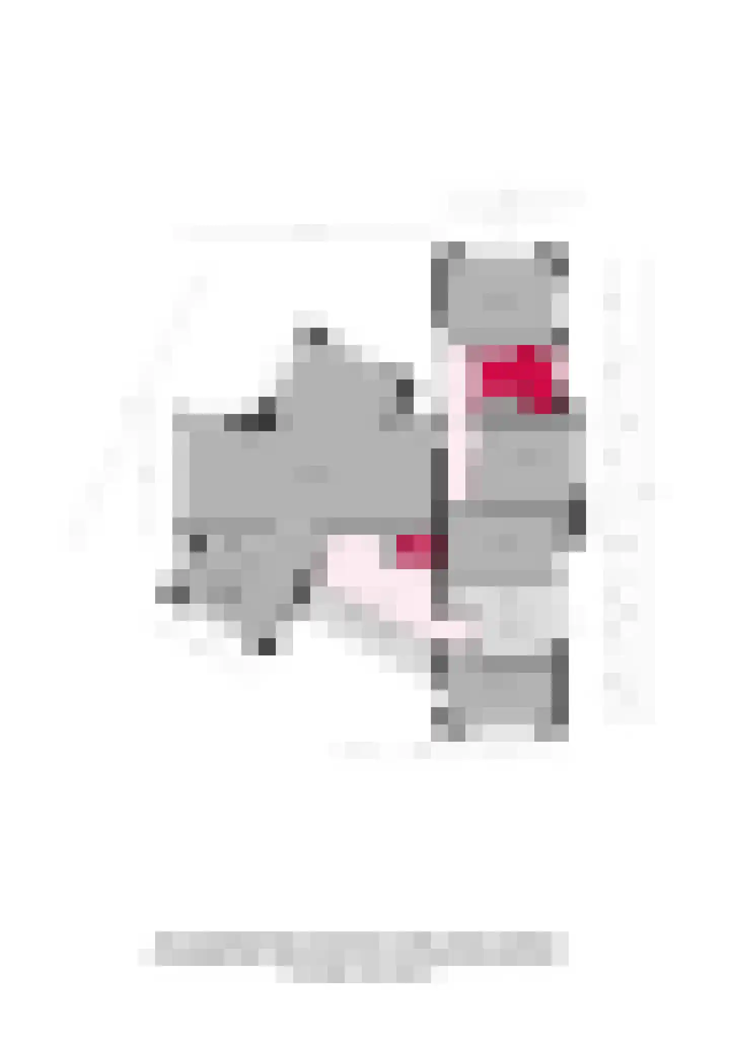 Bosstraat 4 Doetinchem thumbnail 63
