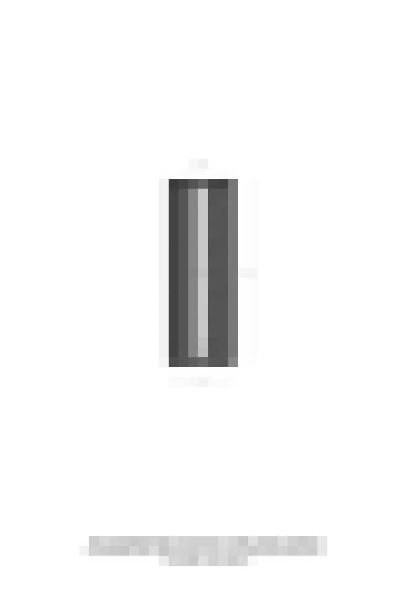 Bosstraat 4 Doetinchem thumbnail 64